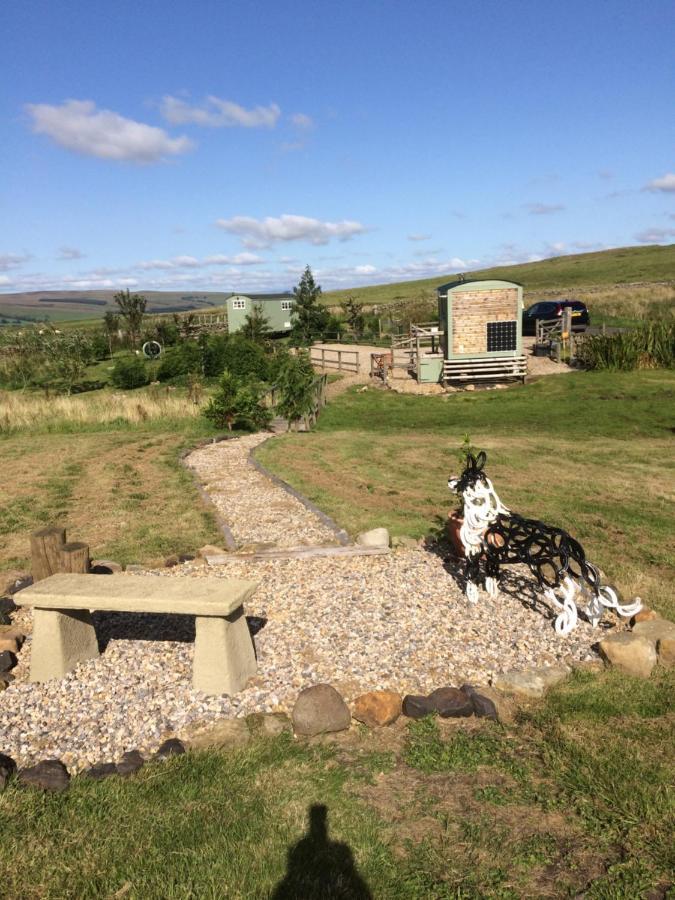 The Buteland Stop Rosie Off Grid Shepherds Hut Bellingham Kültér fotó