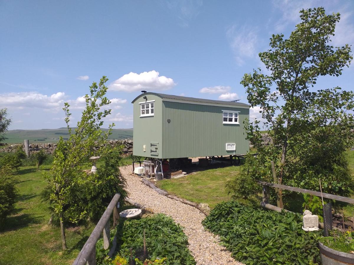 The Buteland Stop Rosie Off Grid Shepherds Hut Bellingham Kültér fotó
