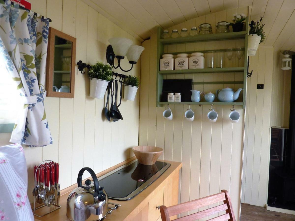 The Buteland Stop Rosie Off Grid Shepherds Hut Bellingham Kültér fotó