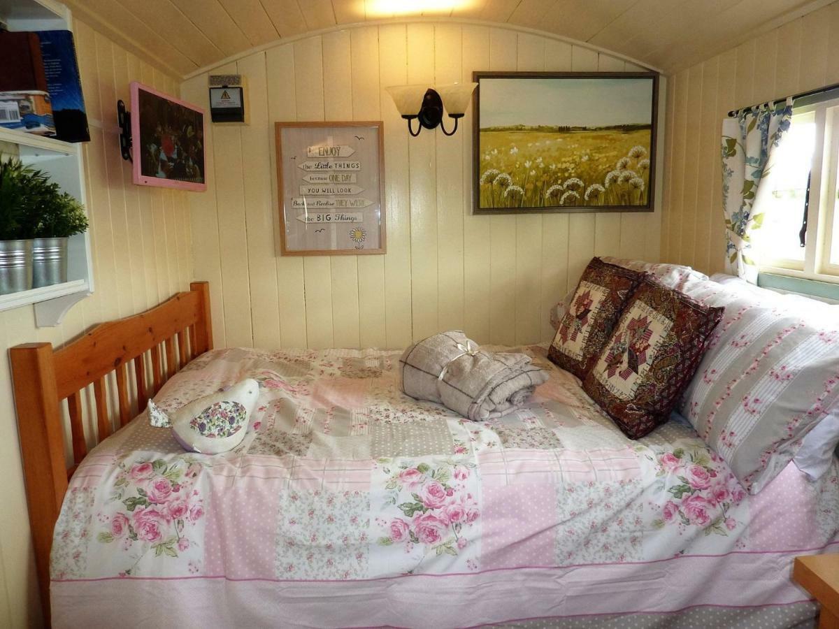 The Buteland Stop Rosie Off Grid Shepherds Hut Bellingham Kültér fotó