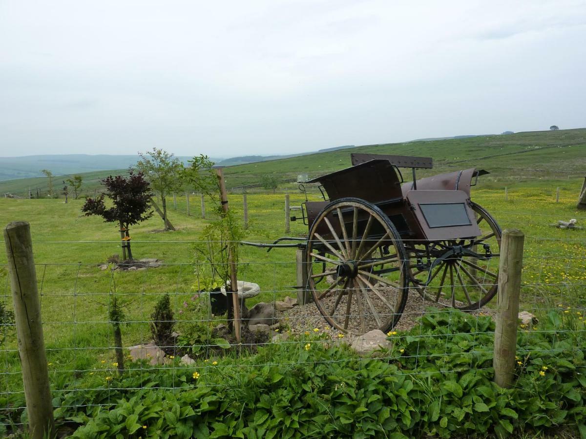 The Buteland Stop Rosie Off Grid Shepherds Hut Bellingham Kültér fotó