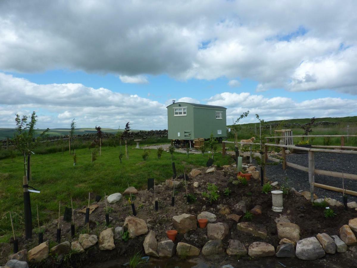 The Buteland Stop Rosie Off Grid Shepherds Hut Bellingham Kültér fotó