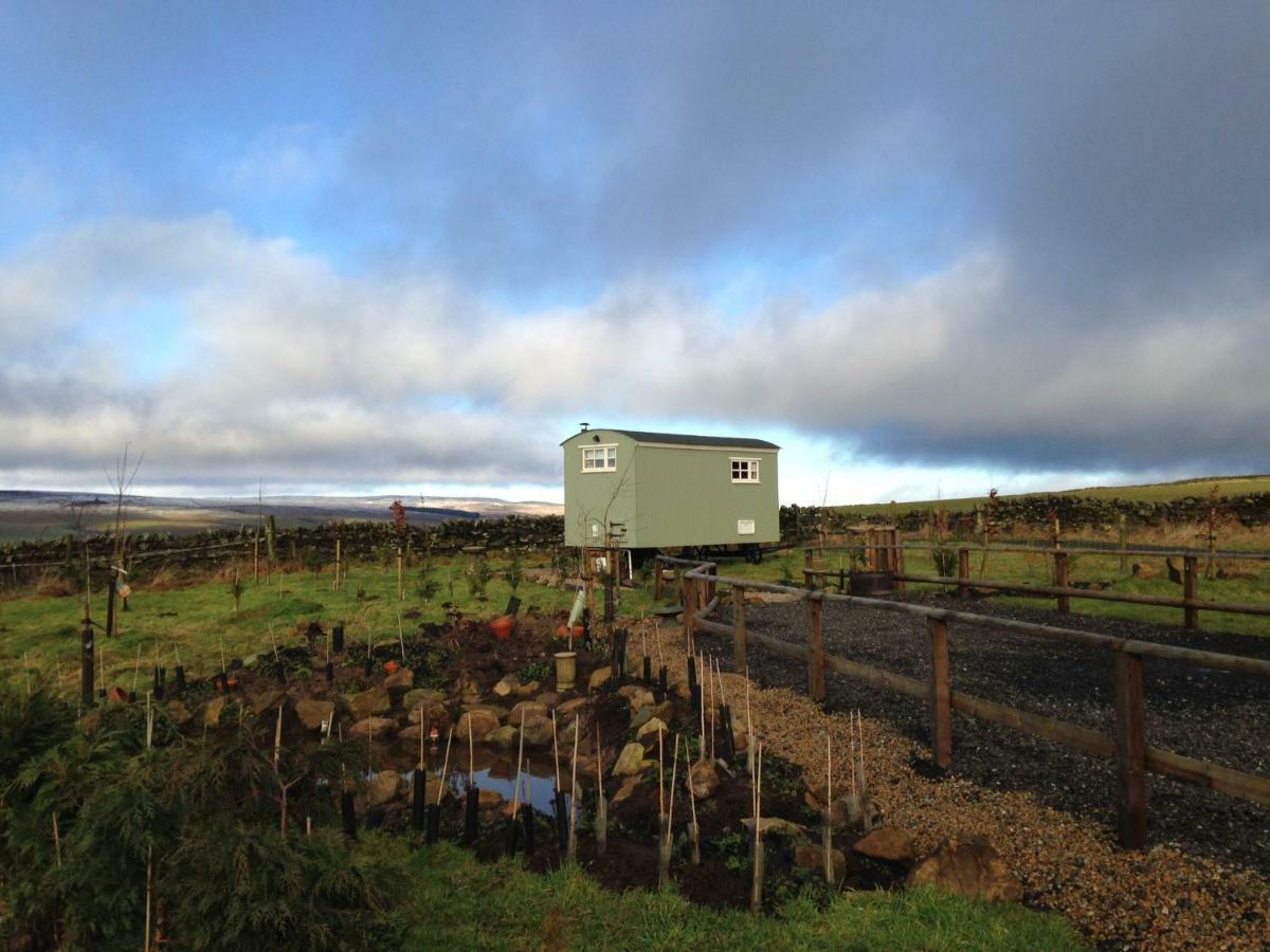 The Buteland Stop Rosie Off Grid Shepherds Hut Bellingham Kültér fotó