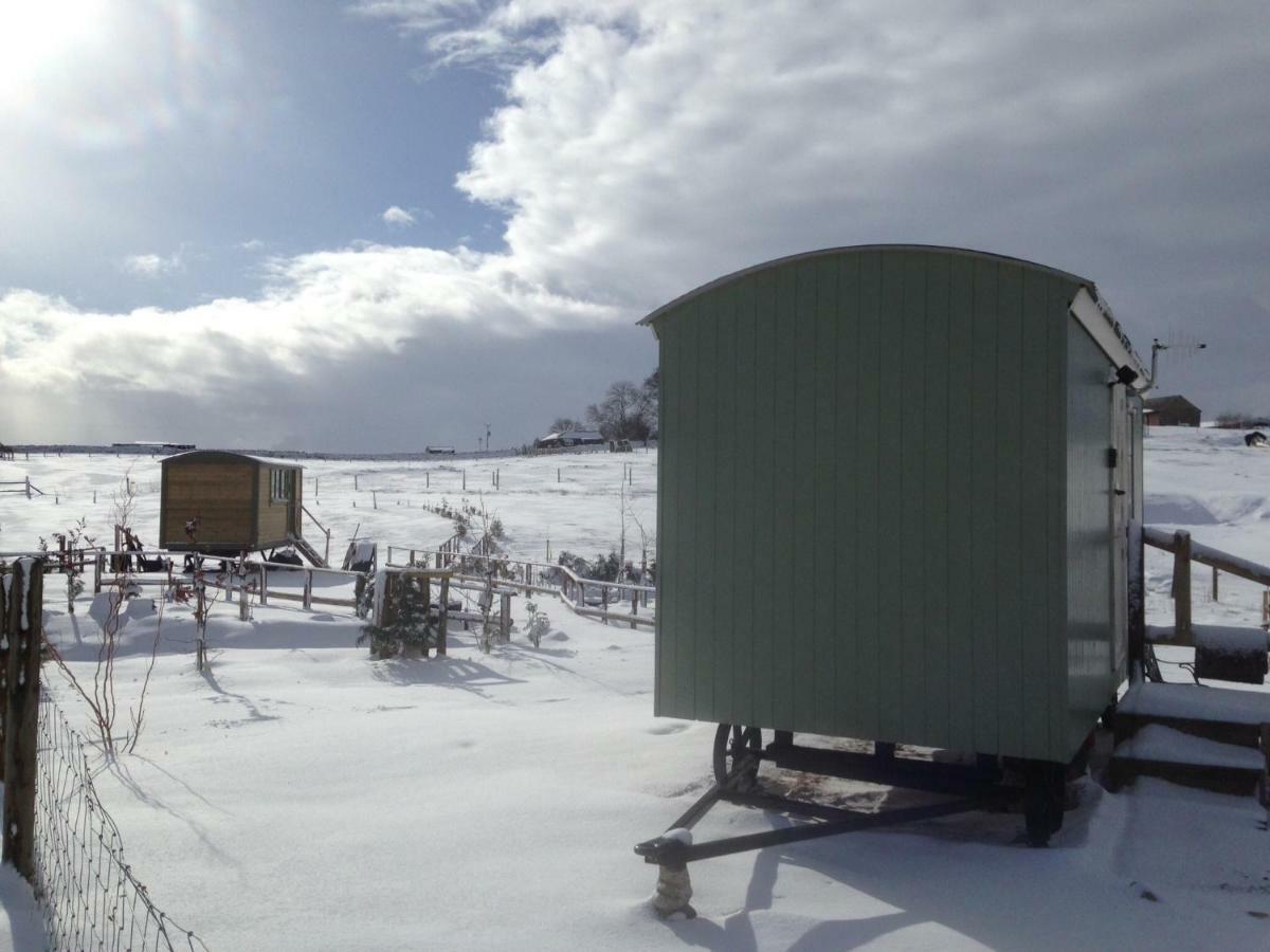 The Buteland Stop Rosie Off Grid Shepherds Hut Bellingham Kültér fotó